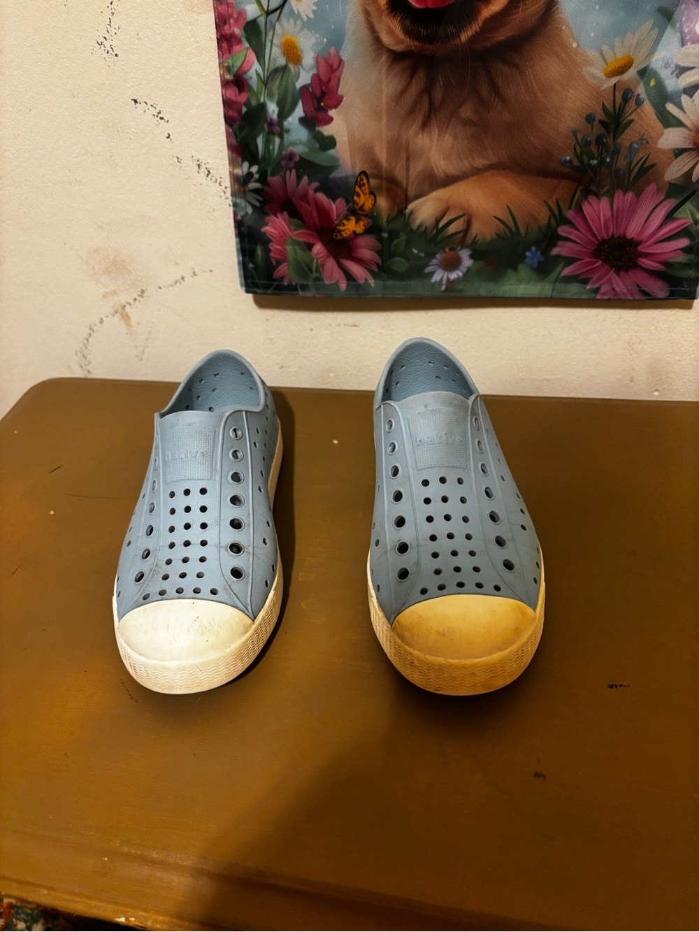 Native boys Slip-On Sneakers in Light Blue with White Soles. C13